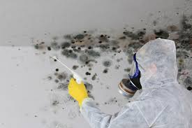 Best Mold Remediation for Healthcare Facilities  in Pacific City, OR